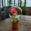 Featuring multi-color lighting and an artistic filament design, this product creates an atmosphere that enhances any indoor or outdoor setting.