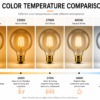 G95 LED Filament Bulb Color Temperature Comparison 1800K 2200K 2700K 4000K 6000K