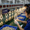 LED bulb manual inspection workshop testing process with workers checking filament bulbs on production line