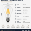A60 LED filament bulb E27 2700K specification sheet studio front view decorative lighting technical data