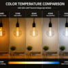 LED color temperature comparison chart showing 2200K to 6500K warm white neutral white cool white lighting for filament bulb applications