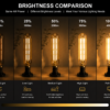 E27 LED filament bulb dimming brightness and color temperature comparison 2200K to 6500K warm to cool white lighting