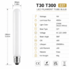 LED filament bulb E27 technical specification data sheet T30 T300 watt voltage size color temperature lumen