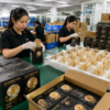 LED Filament Bulb Factory Packing – Assembly Line OEM Manufacturing Process LED filament bulb factory packing assembly line OEM manufacturing workers quality control packaging process