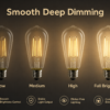 ST58 / ST19 6W Dimmable LED Filament Bulb, E26, 2700K, CRI 90+ - Product Detail Image 4 ST58 / ST19 Clear Glass LED filament bulb Edison screw base - product detail image 4
