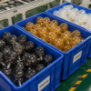 LED filament bulbs factory production line assembly workshop bulk crate packaging production quality inspection manufacturing process LED Bulb Factory Production Line Assembly Workshop Crate Bulk Packaging