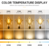 LED Filament Bulb Color Temperature Comparison Guide LED filament bulb color temperature comparison 2200K 2700K 4000K 6500K guide lighting chart